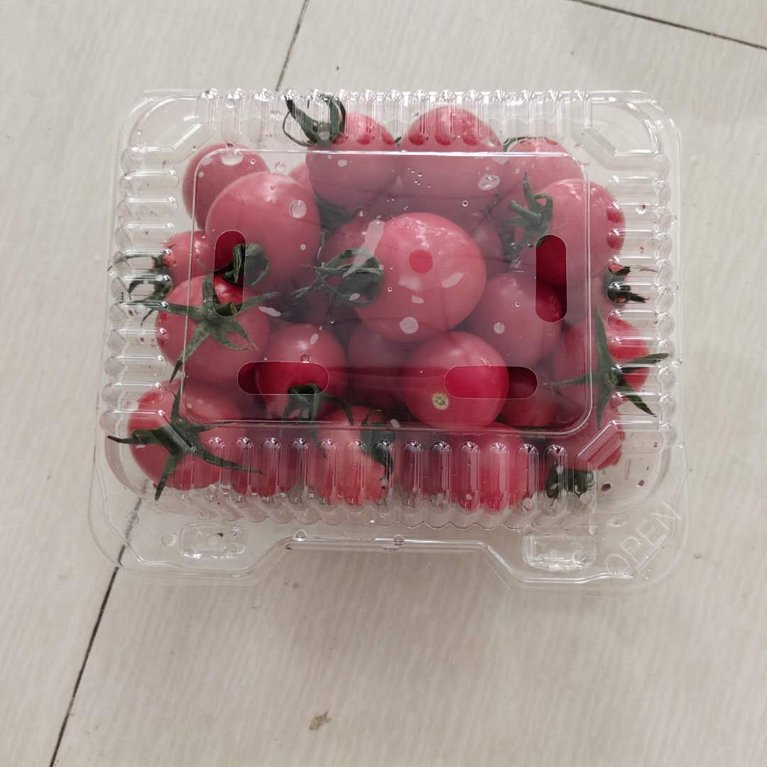500ml果蔬塑料盒